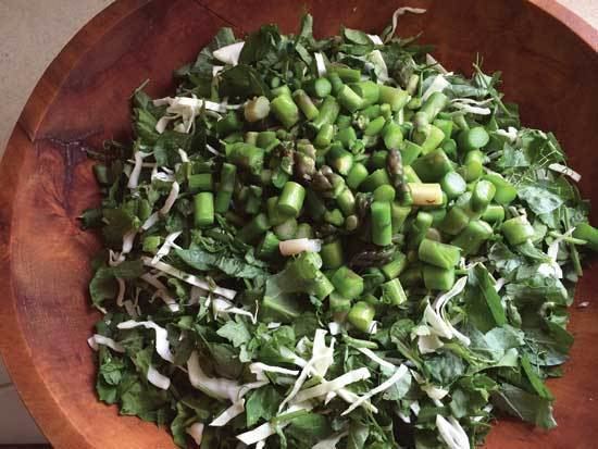 Field pea Salads All Winter You Bet With Austrian Winter Peas Organic