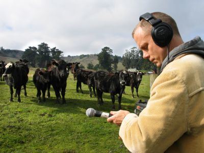 Field recording