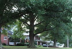 Fifth Avenue Historic District (Kenbridge, Virginia) httpsuploadwikimediaorgwikipediacommonsthu