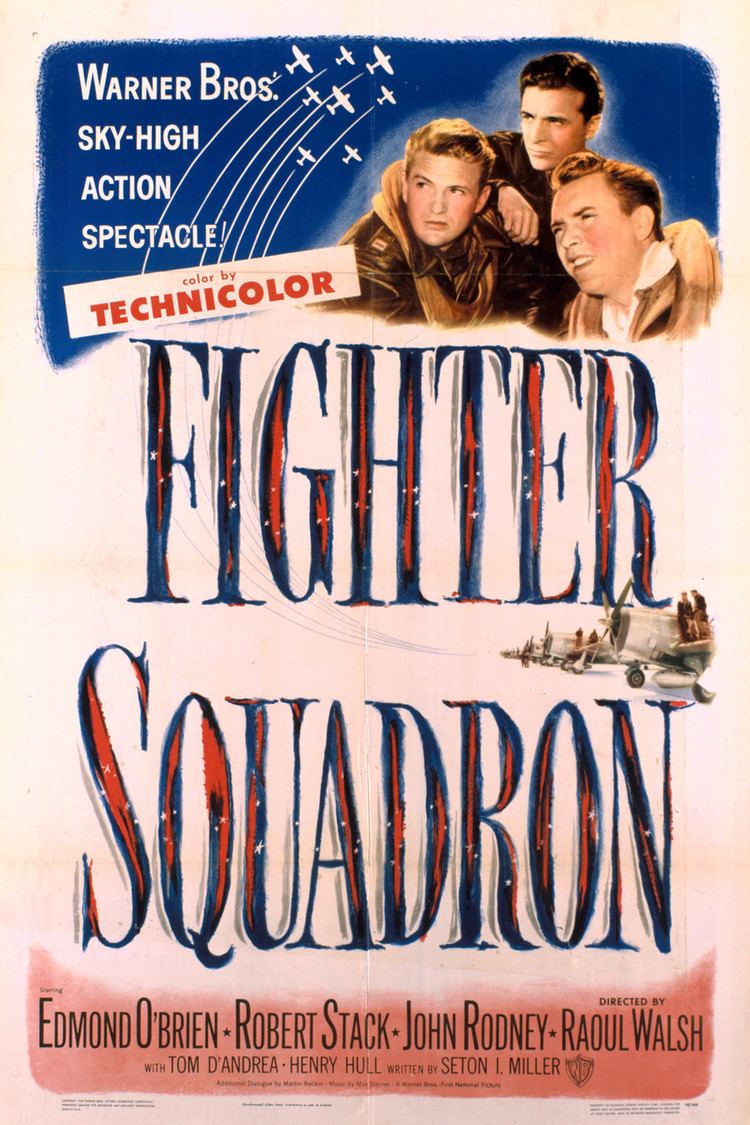 Fighter Squadron wwwgstaticcomtvthumbmovieposters1048p1048p