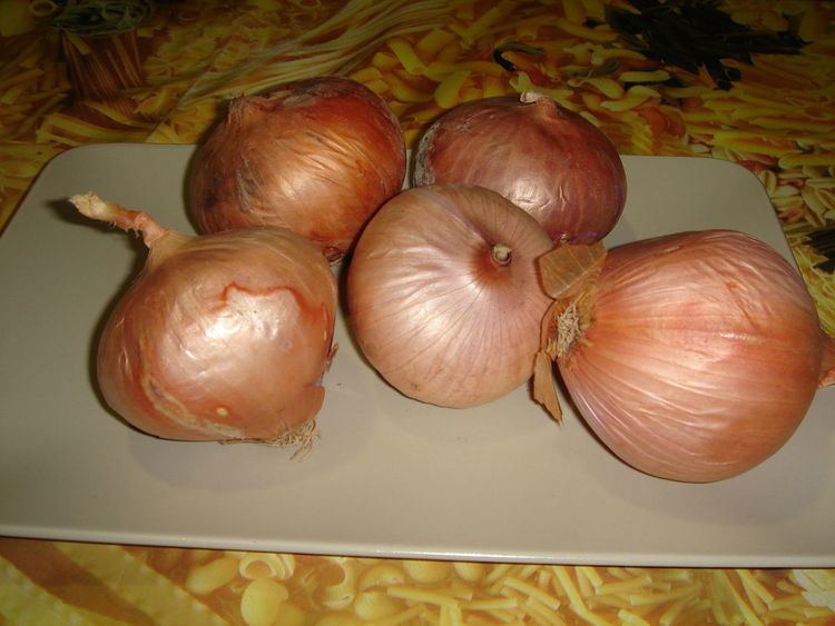 Figueres onion
