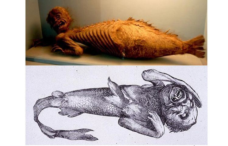 Fiji mermaid The Fiji Mermaid What Was the Abominable Creature and Why Was It So