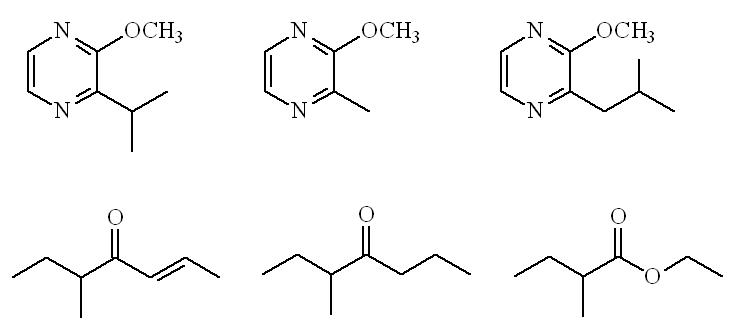 Filbertone Filbertone Molecule of the Month September 2012 HTMLonly version