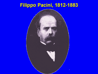 Filippo Pacini img030GIF