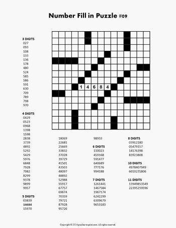 Number Fill-In Puzzle