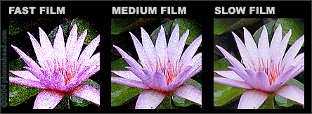 Film speed General Information about Photography