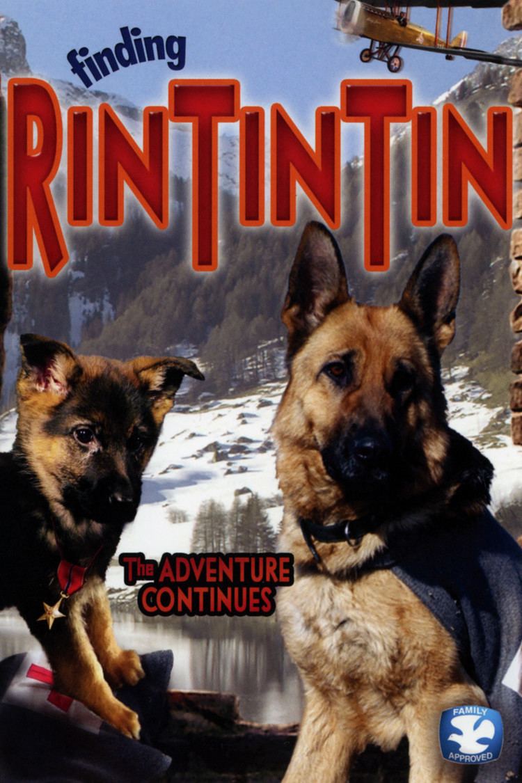 Finding Rin Tin Tin wwwgstaticcomtvthumbdvdboxart178491p178491