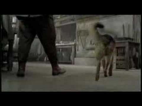 Finding Rin Tin Tin Movie Trailer Finding Rin Tin Tin 2007 YouTube