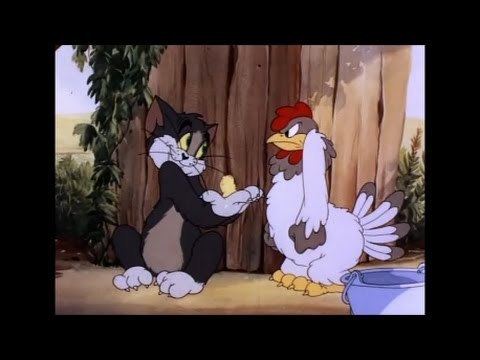 Fine Feathered Friend Tom and Jerry 8 Episode Fine Feathered Friend 1942 YouTube