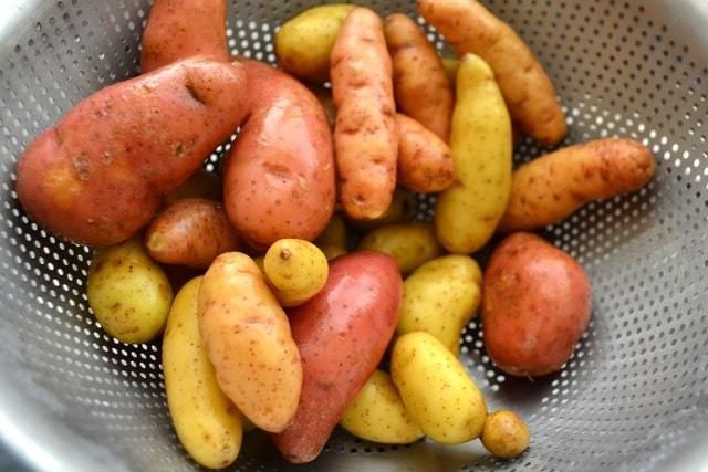 Fingerling potato Fingerling Potatoes with Dipping Aioli Fifteen Spatulas