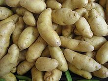 Fingerling potato httpsuploadwikimediaorgwikipediacommonsthu