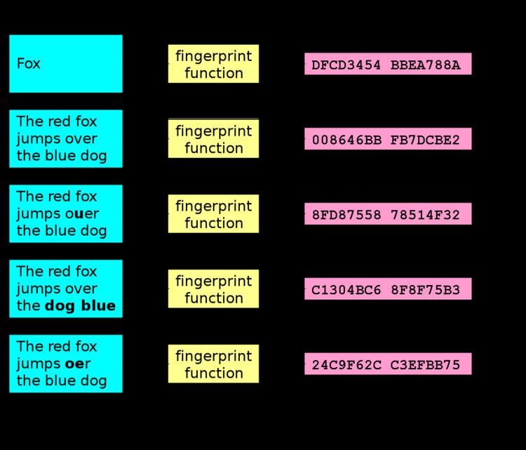 Fingerprint (computing)