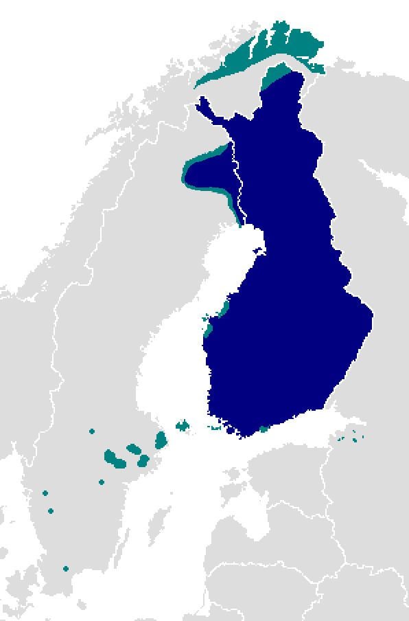 Finnish language Finnish language Wikipedia