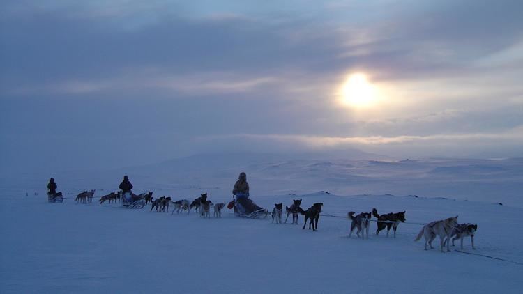 Finnmarksvidda Arctic adventure Skiing and dogsledding on the Finnmarksvidda