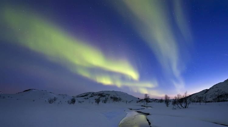 Finnmarksvidda Arctic adventure Skiing and dogsledding on the Finnmarksvidda