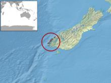 Fiordland skink httpsuploadwikimediaorgwikipediacommonsthu