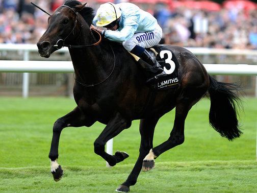 Fiorente Fiorente out of Caulfield Cup iskander