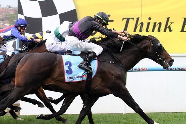 Fiorente Fiorente recovers well from Cox Plate