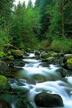 Fir Creek (Bull Run River) httpsuploadwikimediaorgwikipediacommonsthu