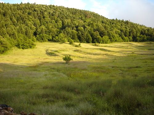 Fir of Hotova National Park