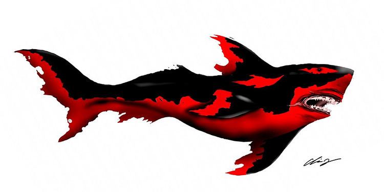 Fire Shark Fire Sharkquot by crystofurr Redbubble