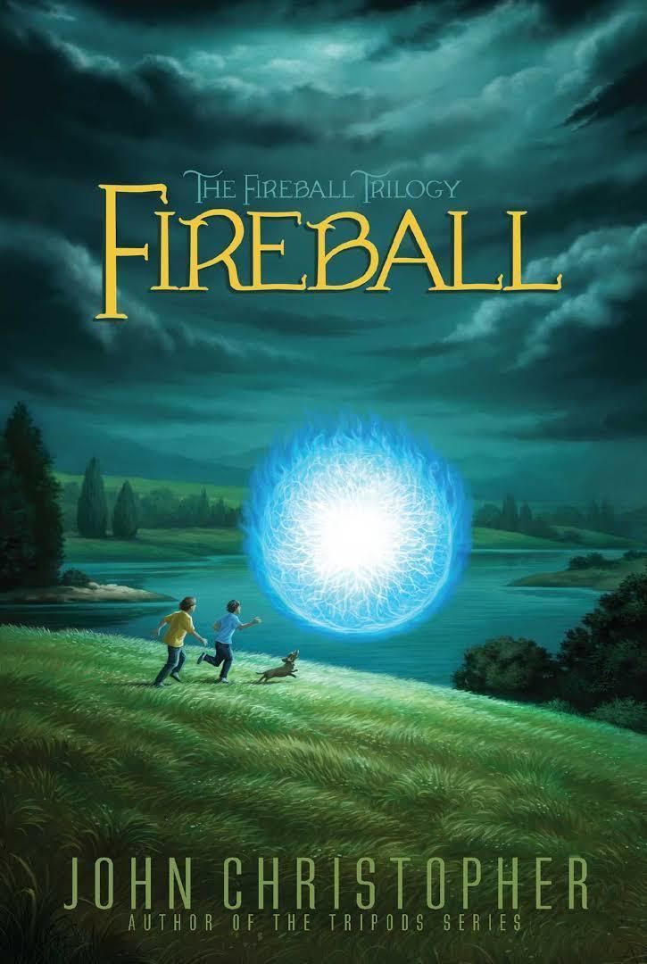 Fireball (novel) t3gstaticcomimagesqtbnANd9GcSJfm21JM7t7J6jMT