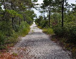 First American Road in Florida httpsuploadwikimediaorgwikipediacommonsthu