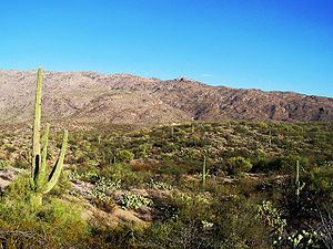 First Battle of Tucson httpsuploadwikimediaorgwikipediacommonsthu