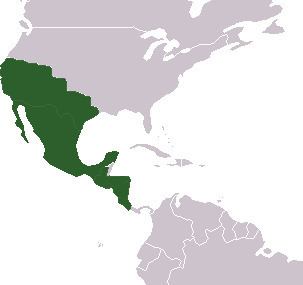 First Mexican Empire FileFirst Mexican Empire Mappng Wikimedia Commons