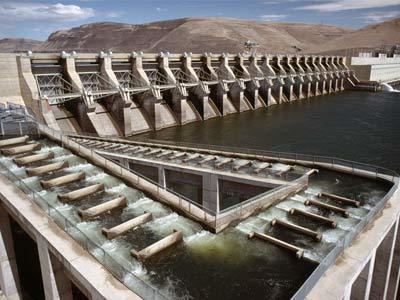 Fish ladder Designing Fishways What are fish ladders HowStuffWorks