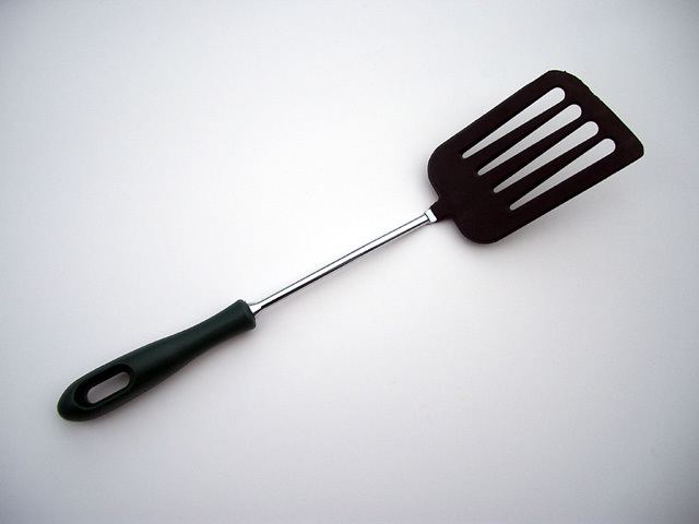 Fish slice (kitchen utensil)