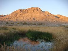 Fish Springs Range httpsuploadwikimediaorgwikipediacommonsthu