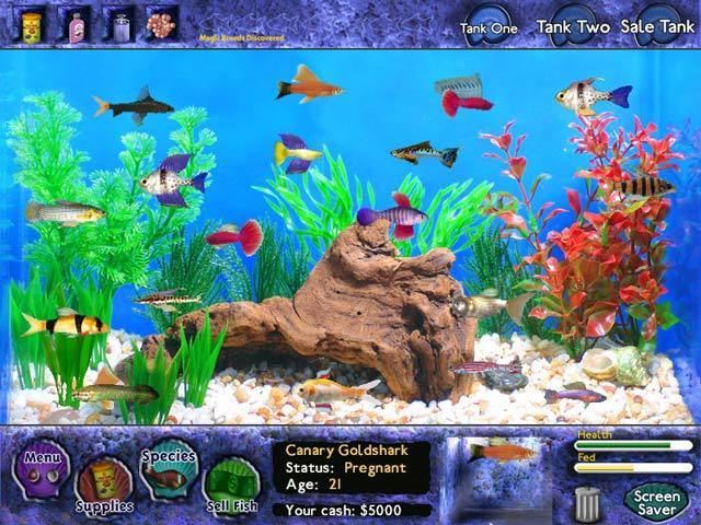 Fish Tycoon Play Fish Tycoon gt Online Games Big Fish