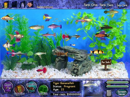 Fish Tycoon Fish Tycoon on Steam