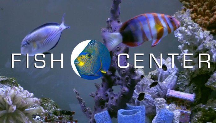 FishCenter Live FishCenter Live Content Created For Social Media Michael Clark