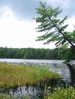 Fisher Lake (Michigan) httpsuploadwikimediaorgwikipediacommonsthu