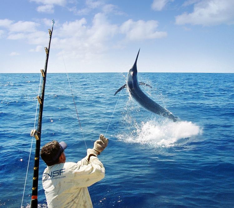 Fishing Australia Day and Overnight Gameboat Charters ex Port Douglas Ultimate