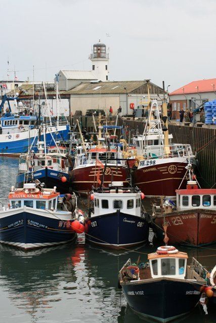 Fishing fleet