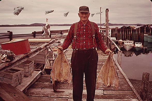 Fishing industry in Canada