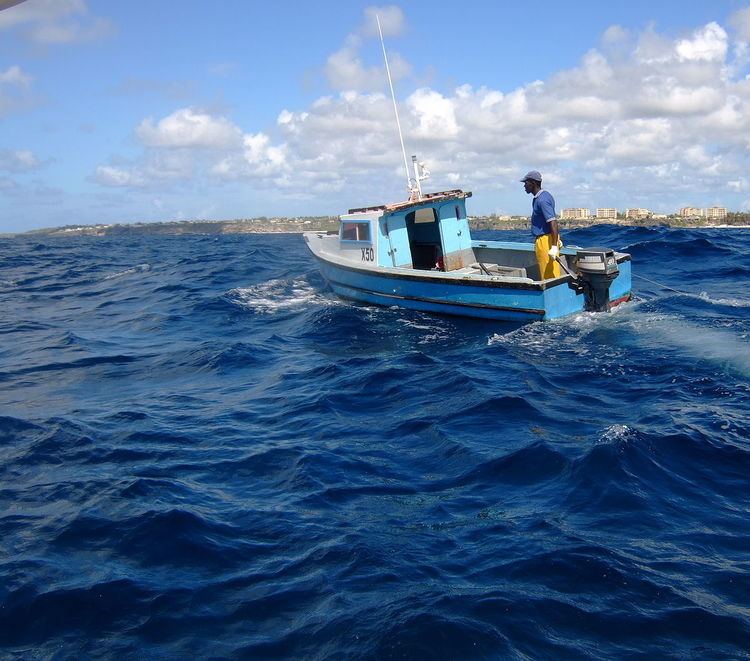 Fishing industry in the Caribbean