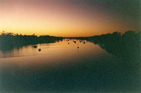 Fitzroy River (Queensland) httpsuploadwikimediaorgwikipediacommonsthu
