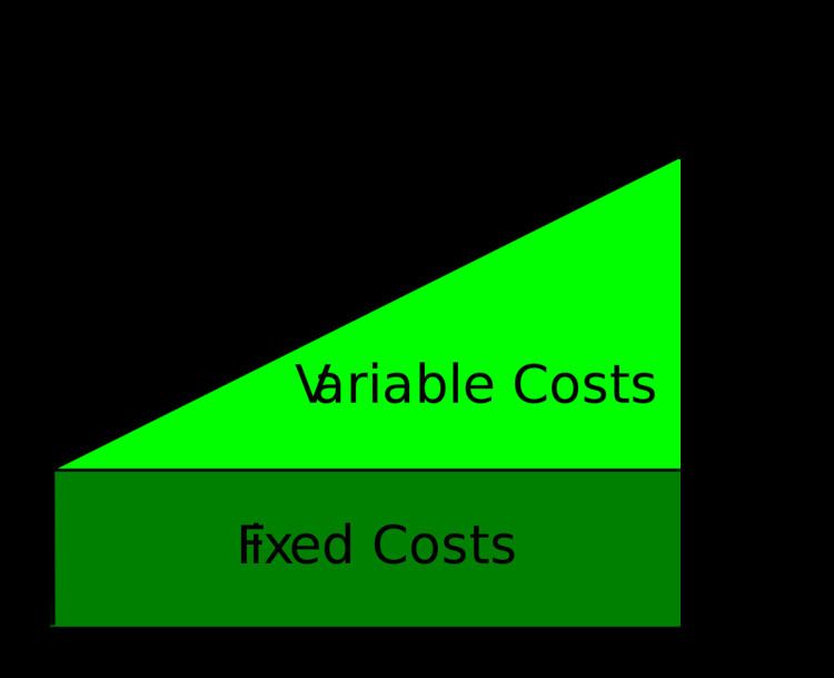 Fixed cost