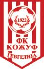 FK Kožuf httpsuploadwikimediaorgwikipediacommonsthu