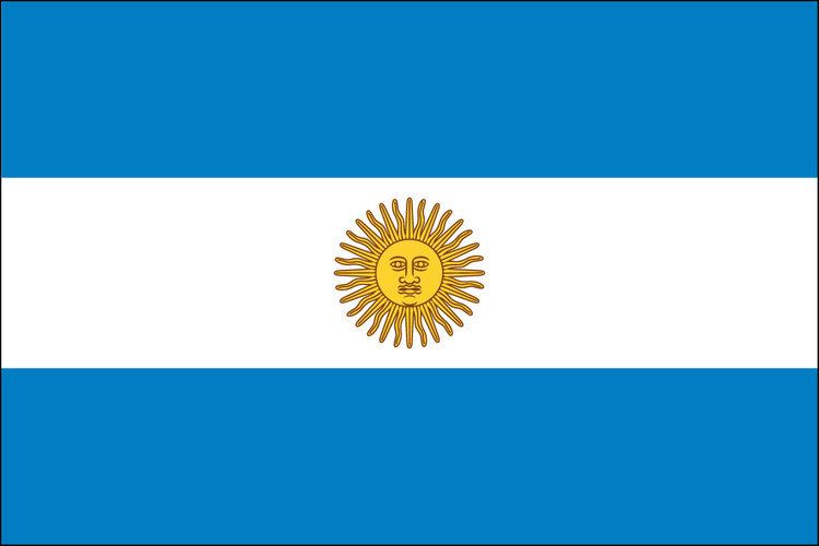 Flag of Argentina 4x6quot flag of Argentina