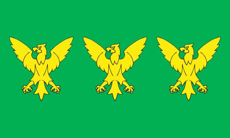 Flag of Caernarfonshire