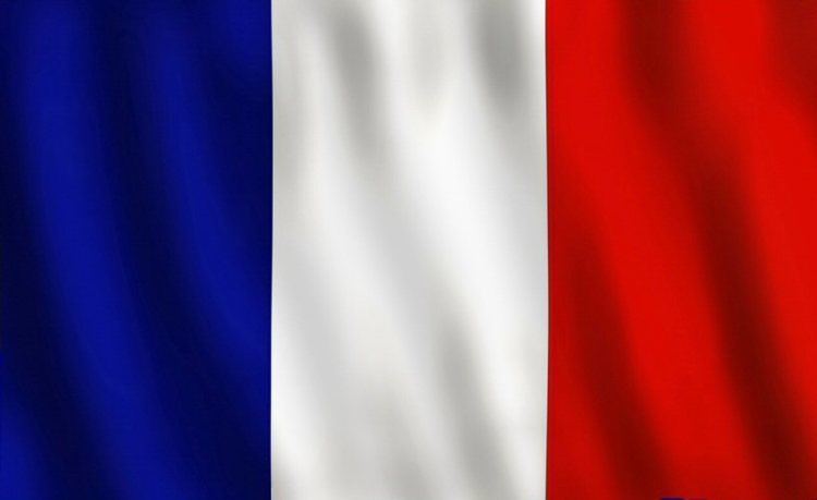 Flag of France 1000 ideas about Flag Of France on Pinterest National flag