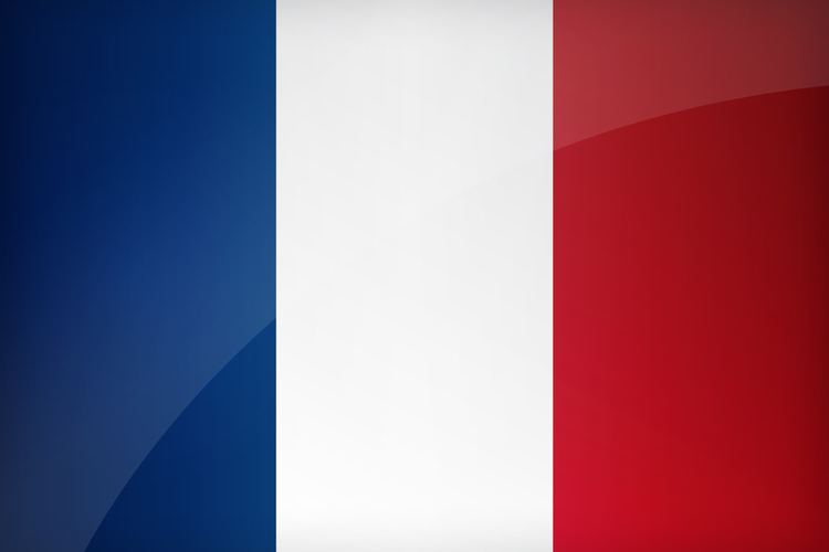 Flag of France Flag France Download the National French flag