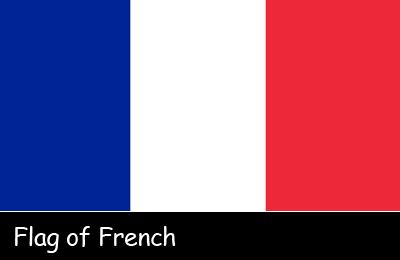 Flag of France French Flag Facts for Kids