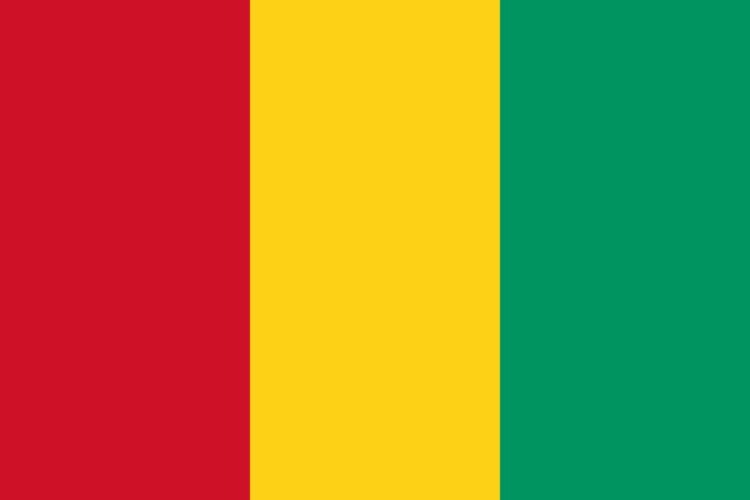Flag of Guinea httpsuploadwikimediaorgwikipediacommonsthu