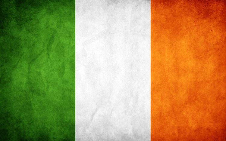 Flag of Ireland 1000 ideas about Flag Of Ireland on Pinterest Flag ireland Flag